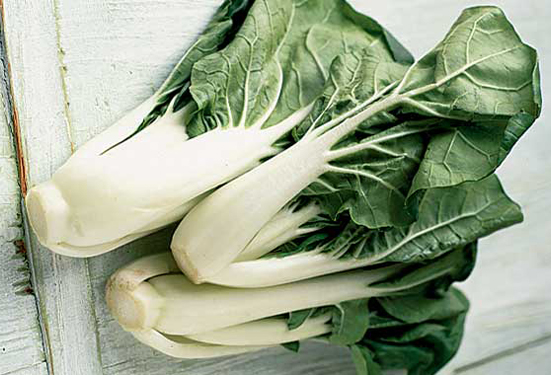 pakchoi.jpg